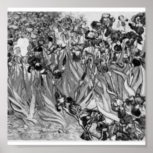 Poster-Monochrome-Van Gogh-Irises Poster
