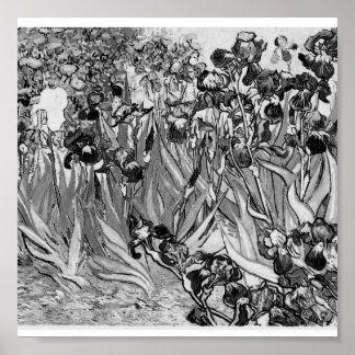 Poster-Monochrome-Van Gogh-Irises Poster