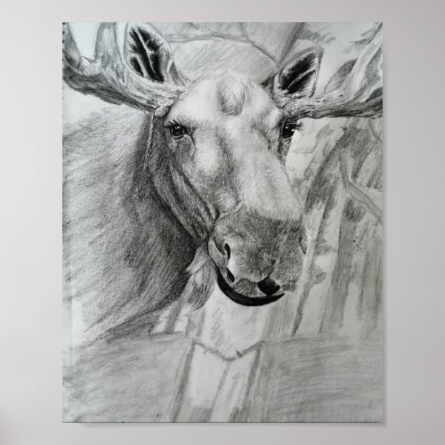 Poster Moose drawing