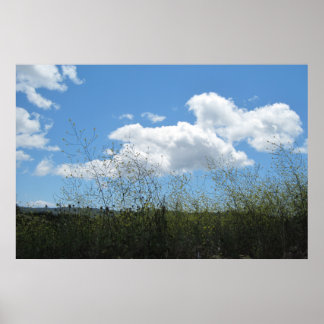 Poster: Mustard in the Clouds Poster