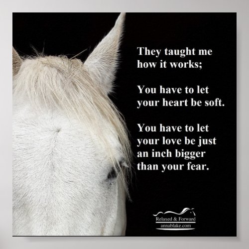 Poster of a photo of a white horse with a quote