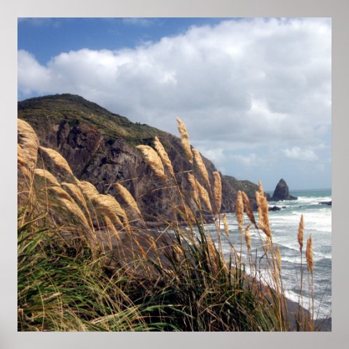 Poster of Anawhata Beach