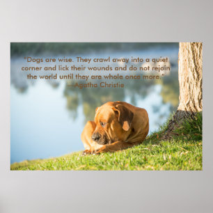 Poster of Boerboel dog with Inspirational Quote