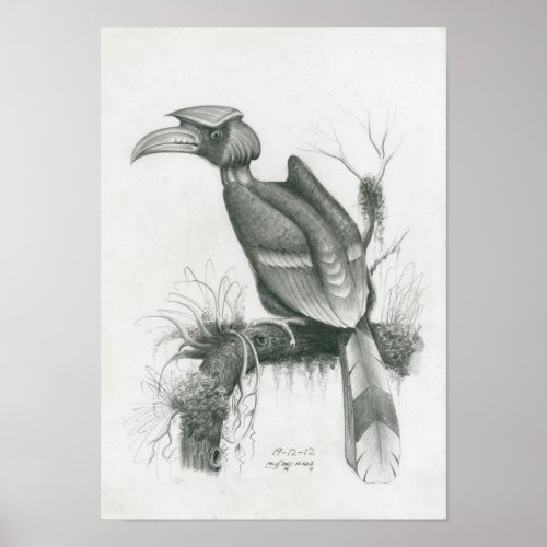 Poster of Cambodian Hornbill Bird by Vannak Prum