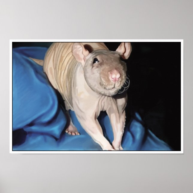 Poster of Hairless Rat (Front)
