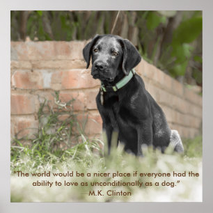Poster of Labrador Puppy with Inspirational Quote