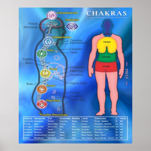 Pster Os Chakras e suas ligaes Poster