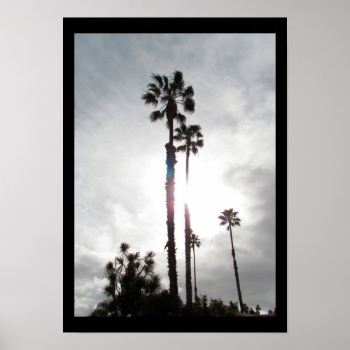 Poster _ Palm Tree Silhouette