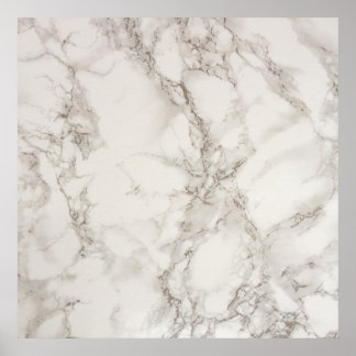 Poster Paper (Matte)