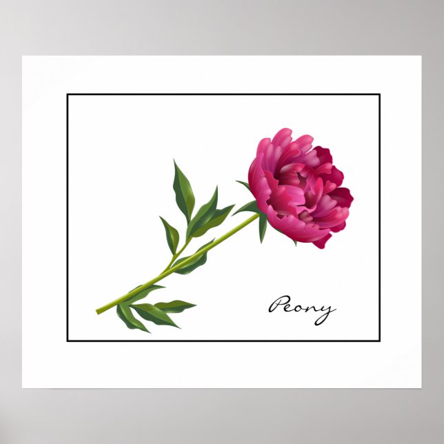 Poster-Peony Poster (Front)
