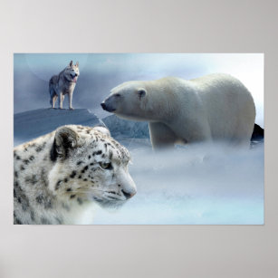 Poster-Polar Bear-Husky-Snow Leopard Poster