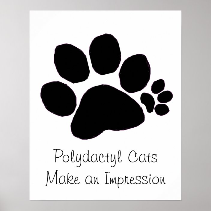 polydactyl paw print