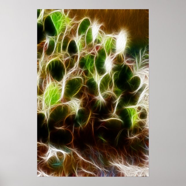 Poster- Prickly Pear Cactus Poster (Front)