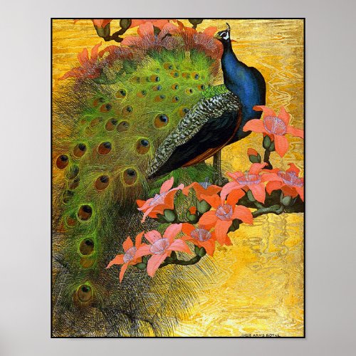 Poster Print Blue Peacock