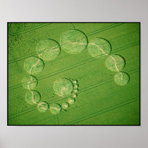 Poster Print: Crop Circle - Single Julia
