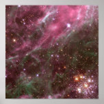 Poster/Print: Stars in Nebula Poster