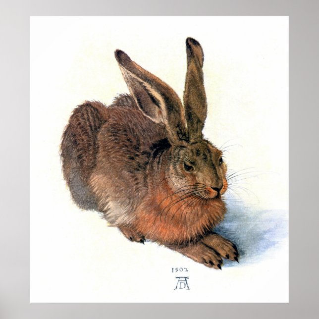 Poster/Print:  The Rabbit Poster (Front)