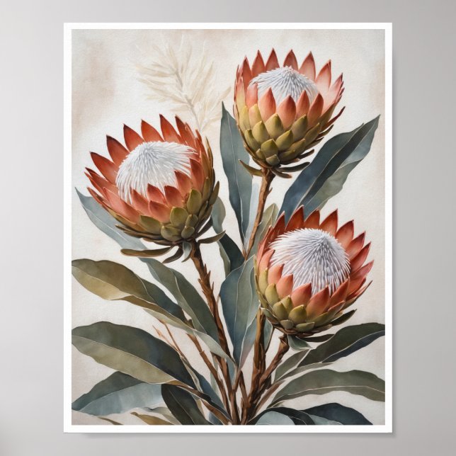 Poster Protea Flowers Painting Wall Art Room Decor (Front)