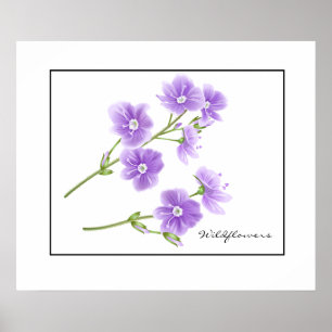 Poster-Purple Wildflowers Poster