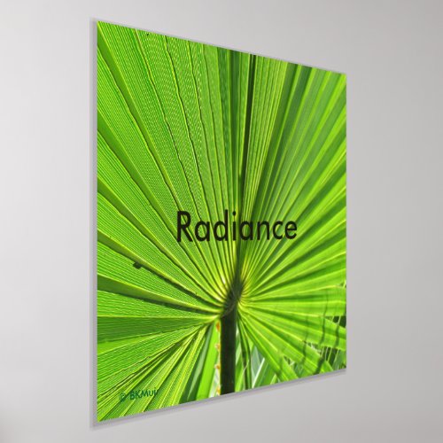 Poster _ Radiant Palm Frond