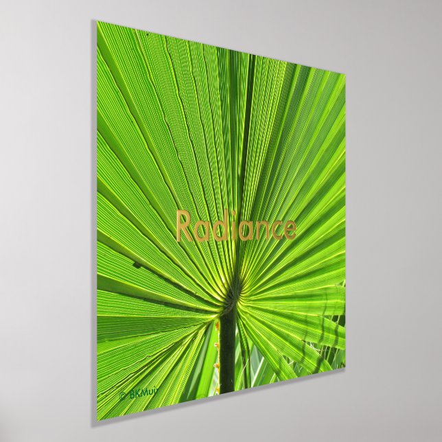 Poster - Radiant Palm Frond (Laydown)