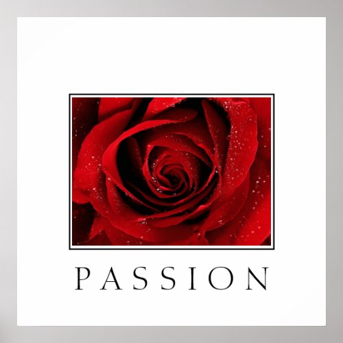 Poster_Red Rose_Passion Poster