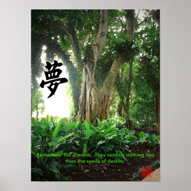 Poster: Remember the dreams. ... Poster (Front)