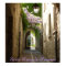 POSTER - Saint- Rémy-de-Provence