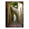 POSTER - Saint- Rémy-de-Provence