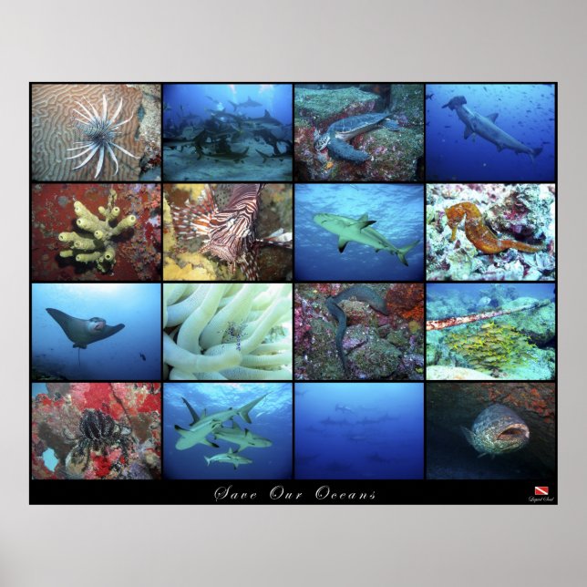 Poster Save Our Oceans (Front)