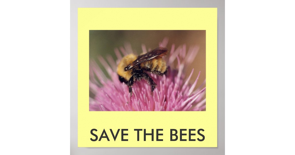 shower save date the baby Poster: SAVE Zazzle.com Poster BEES THE shower save date the baby Poster: SAVE Zazzle.com Poster BEES THE