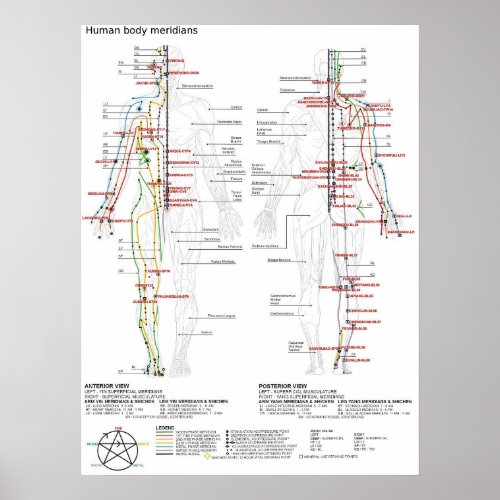 Poster Schematic Chinese Human Body Meridians 