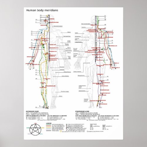Poster Schematic Chinese Meridians Musculature Bod