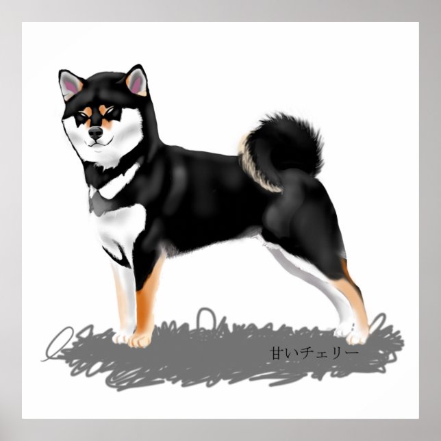 Poster Shiba inu (Front)