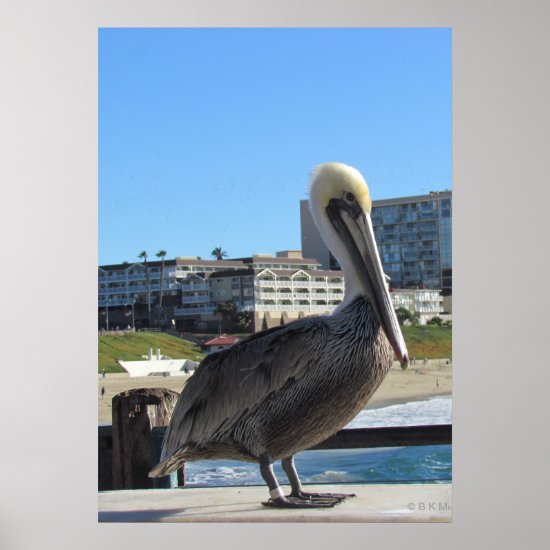 Poster - Single Pelican on the pier