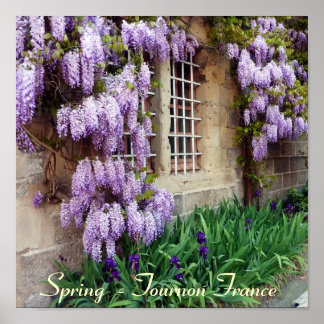 POSTER - Spring - Tournon France