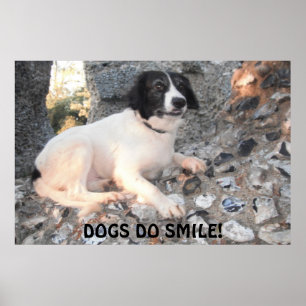 Poster Sprollie Visiting Castle Smiling