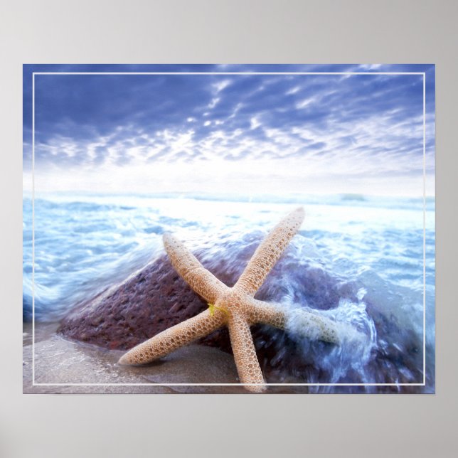 Poster-Starfish Poster (Front)