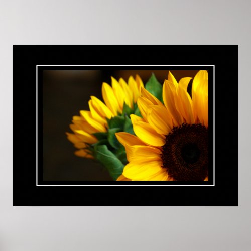 Poster Sunflowers