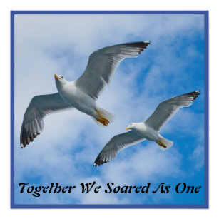 Poster - Two Seagulls Flying