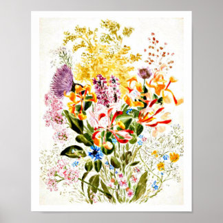 Poster-Vintage Illustration-Beatrix Potter 10 Poster