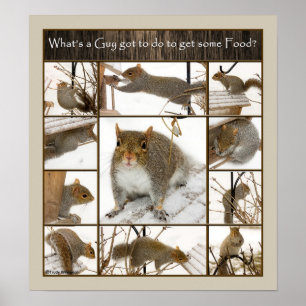 Poster - What's A guy Got to do to gets some Food?