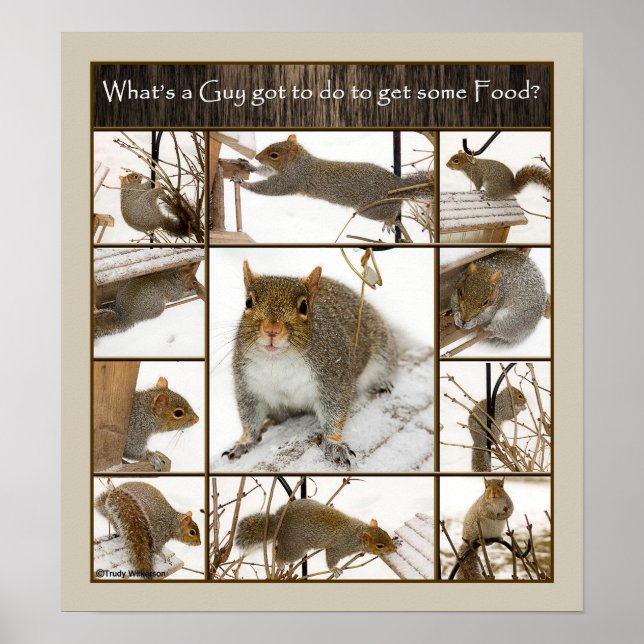 Poster - What's A guy Got to do to gets some Food? (Front)