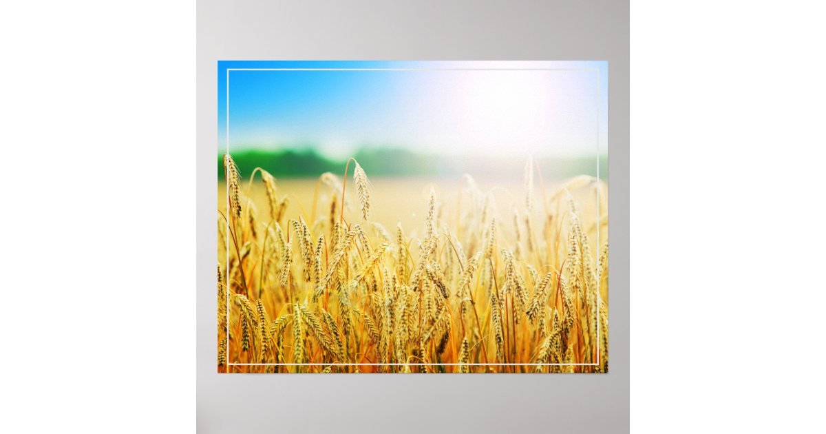 Wheatstack Poster Poster-Wheat Poster | Zazzle