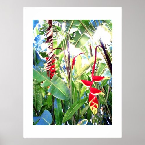 Poster white 18 x 24 The Red Flowers Bali