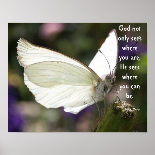 Poster White Butterfly Close_up Saying Christian 