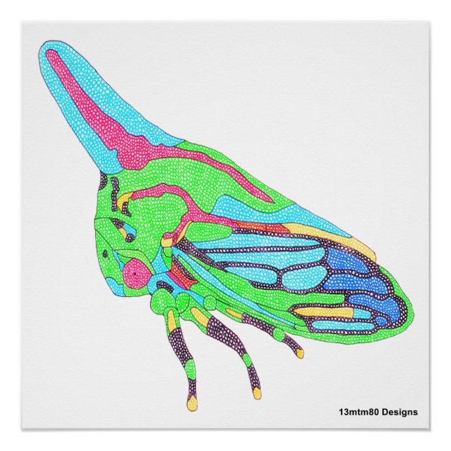 Poster (white) - Oak Treehopper (Front)