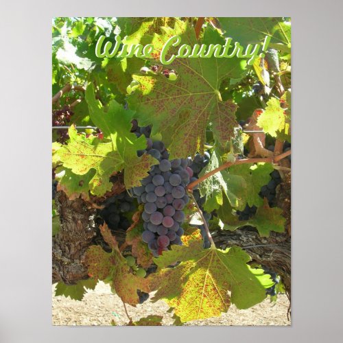 Poster _ Wine Country