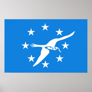 Poster with Flag of Corpus Christi, USA