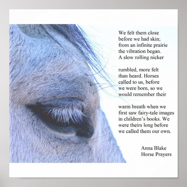 Poster with horse and poem by Anna Blake. (Front)